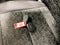 2024 Chevrolet Colorado 4WD Z71