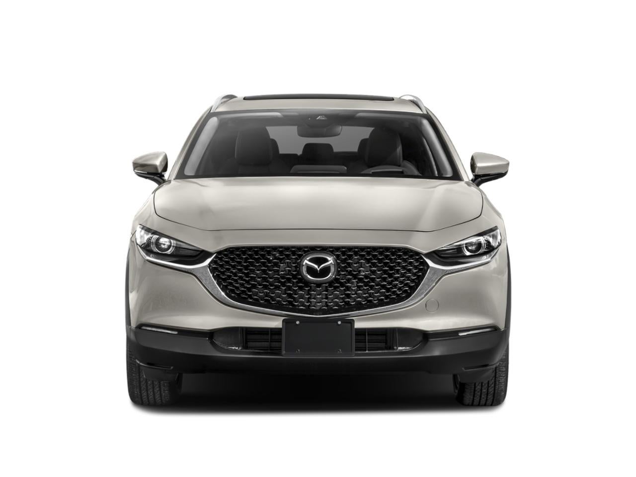 2023 Mazda Mazda CX-30 2.5 S Premium Package