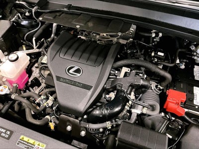 2024 Lexus TX 350 Premium