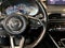 2023 Mazda Mazda CX-9 Carbon Edition