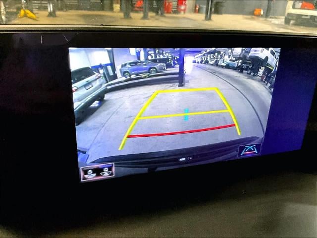 2019 Lexus NX 300 NX 300