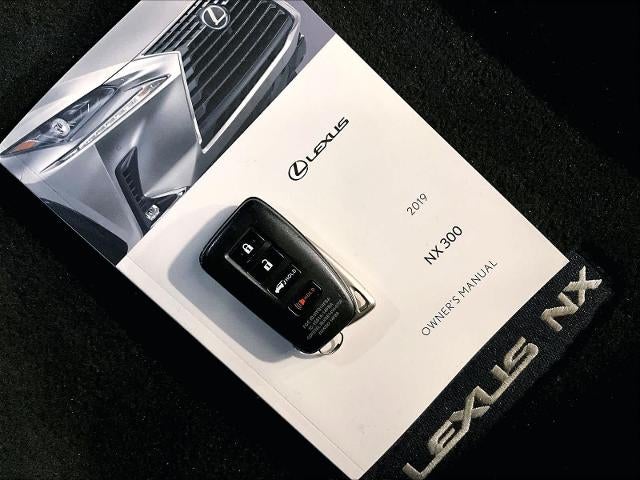 2019 Lexus NX 300 NX 300