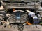2023 Hyundai KONA Electric SEL