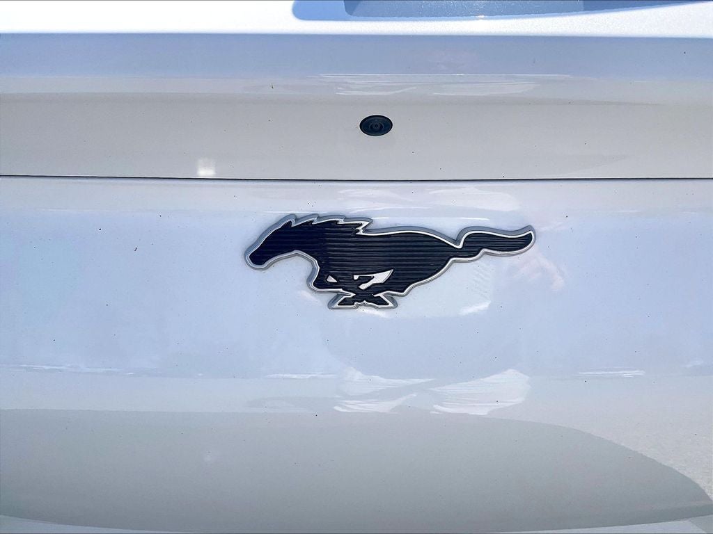 2021 Ford Mustang Mach-E Select