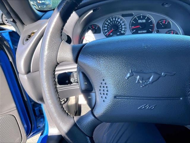 2004 Ford Mustang Premium Mach 1