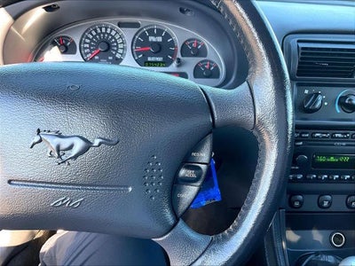 2004 Ford Mustang Premium Mach 1