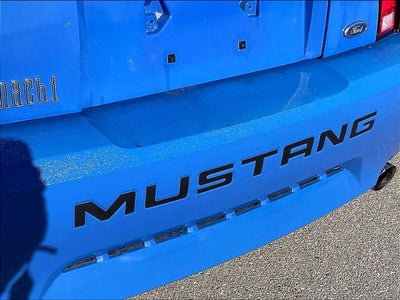 2004 Ford Mustang Premium Mach 1