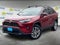 2025 Toyota RAV4 XLE Premium AWD (Natl)