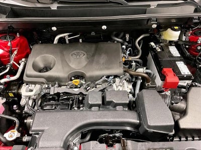 2025 Toyota RAV4 XLE Premium AWD (Natl)