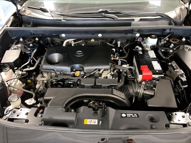 2021 Toyota RAV4 LE AWD (Natl)