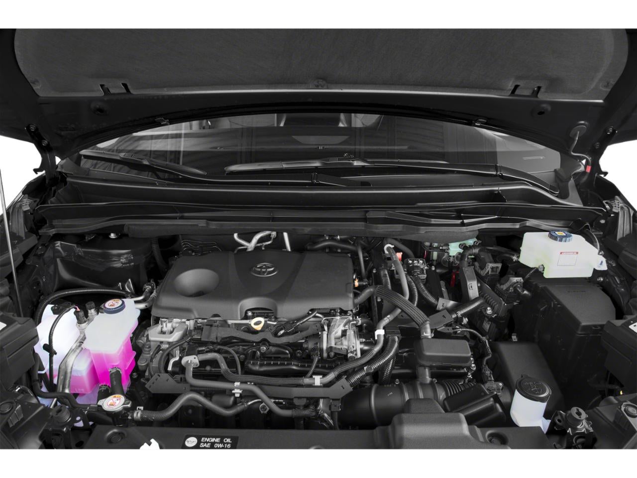 2021 Toyota Sienna LE AWD 8-Passenger (Natl)