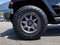 2015 Jeep Wrangler Unlimited Freedom Edition