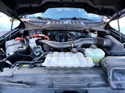 2024 Ford F-150 XLT 4WD SuperCrew 5.5' Box