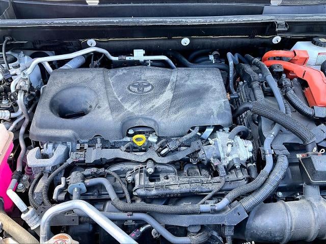 2023 Toyota RAV4 Prime XSE (Natl)