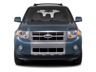 2010 Ford Escape 4WD 4dr XLT