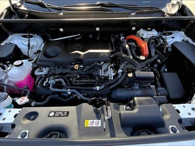2021 Toyota RAV4 Hybrid XLE Premium AWD (Natl)