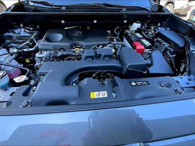 2023 Toyota RAV4 LE AWD (Natl)
