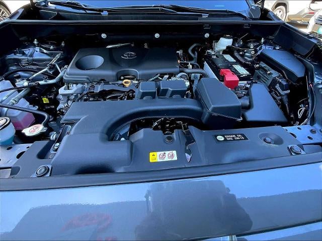 2023 Toyota RAV4 LE AWD (Natl)