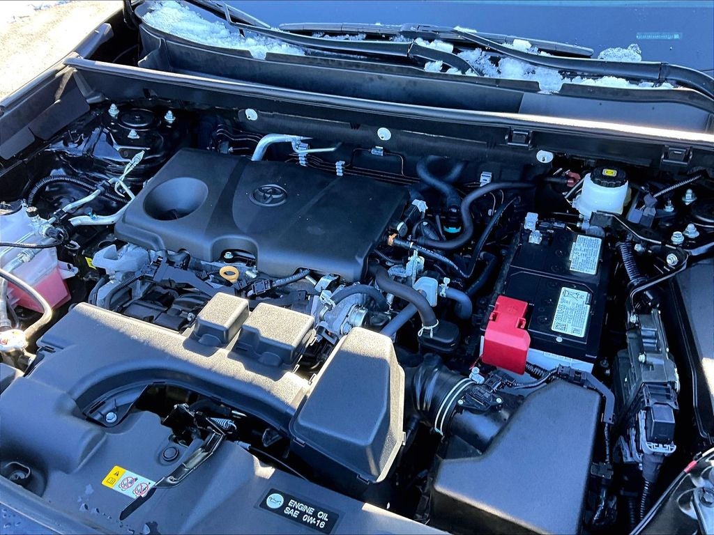 2024 Toyota RAV4 LE