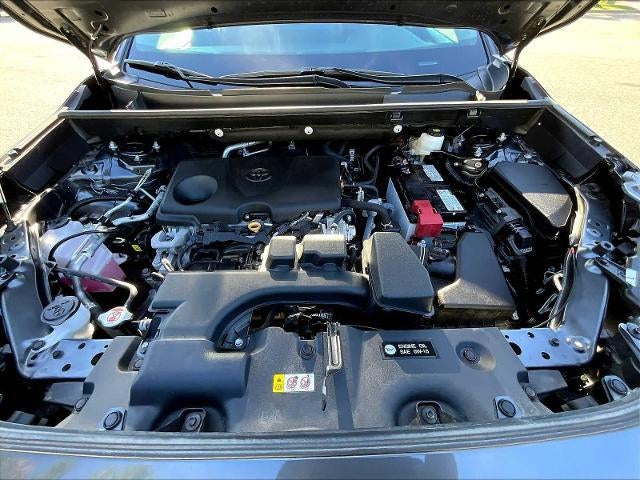 2023 Toyota RAV4 LE AWD (Natl)