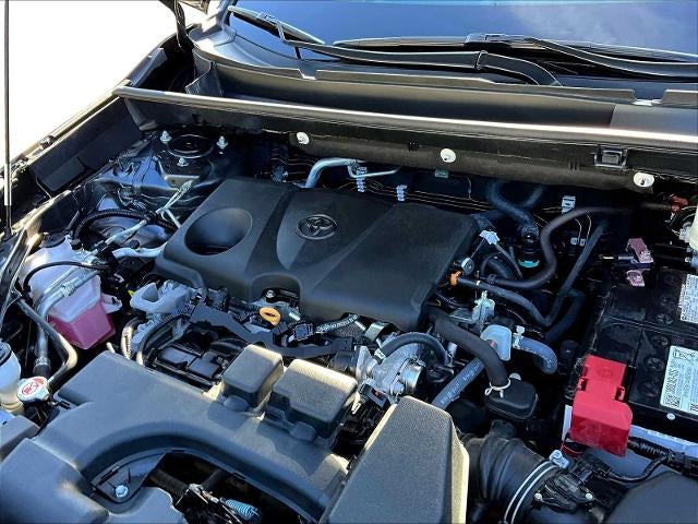 2023 Toyota RAV4 LE AWD (Natl)