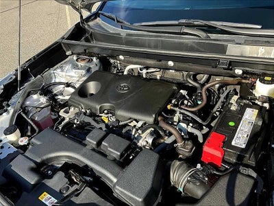 2024 Toyota RAV4 LE AWD (Natl)
