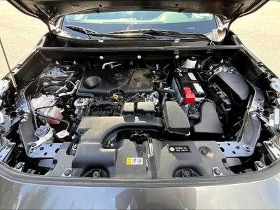 2023 Toyota RAV4 XLE AWD (Natl)
