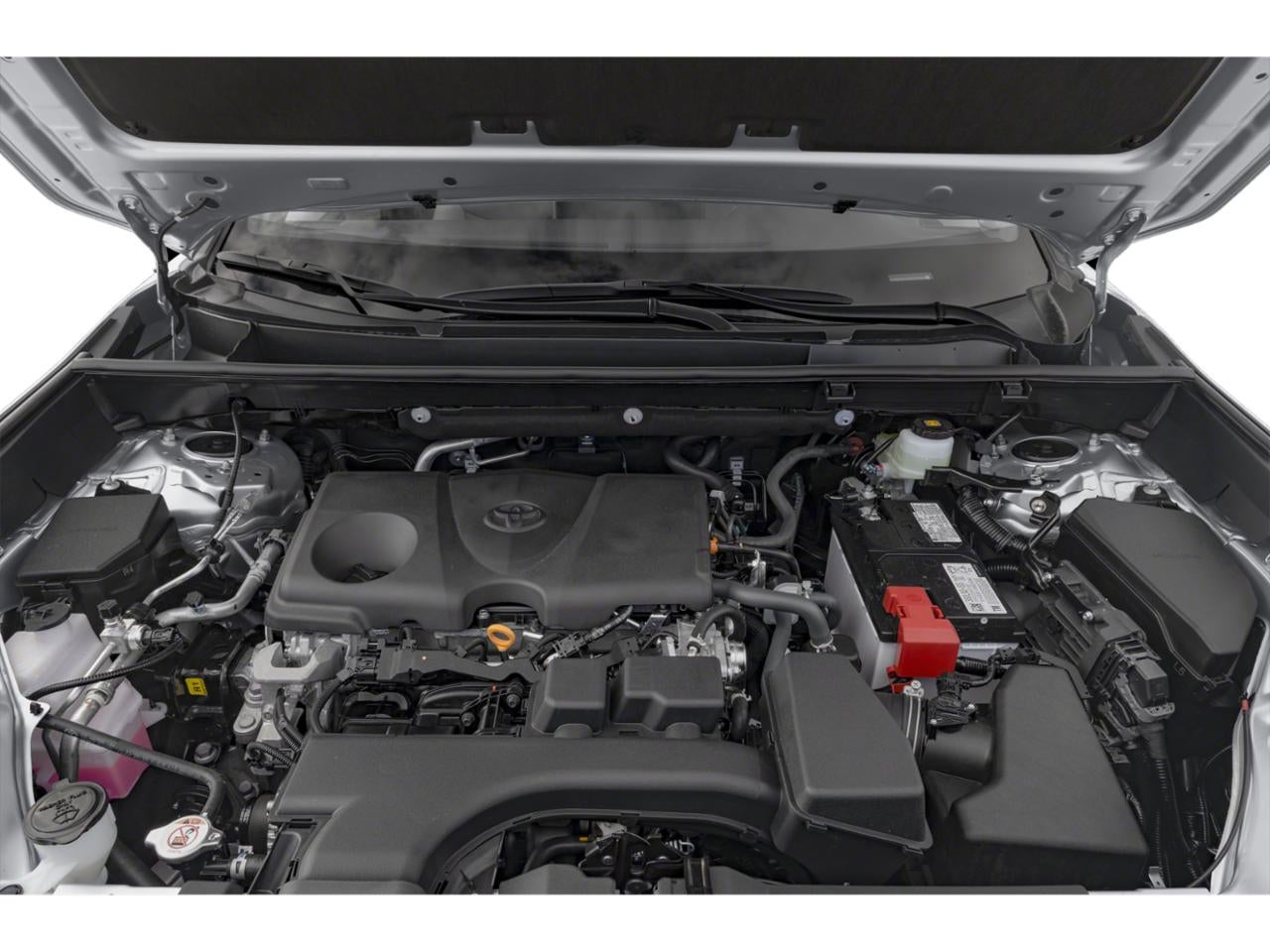 2023 Toyota RAV4 XLE AWD (Natl)