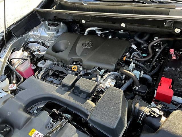 2024 Toyota RAV4 XLE AWD (Natl)