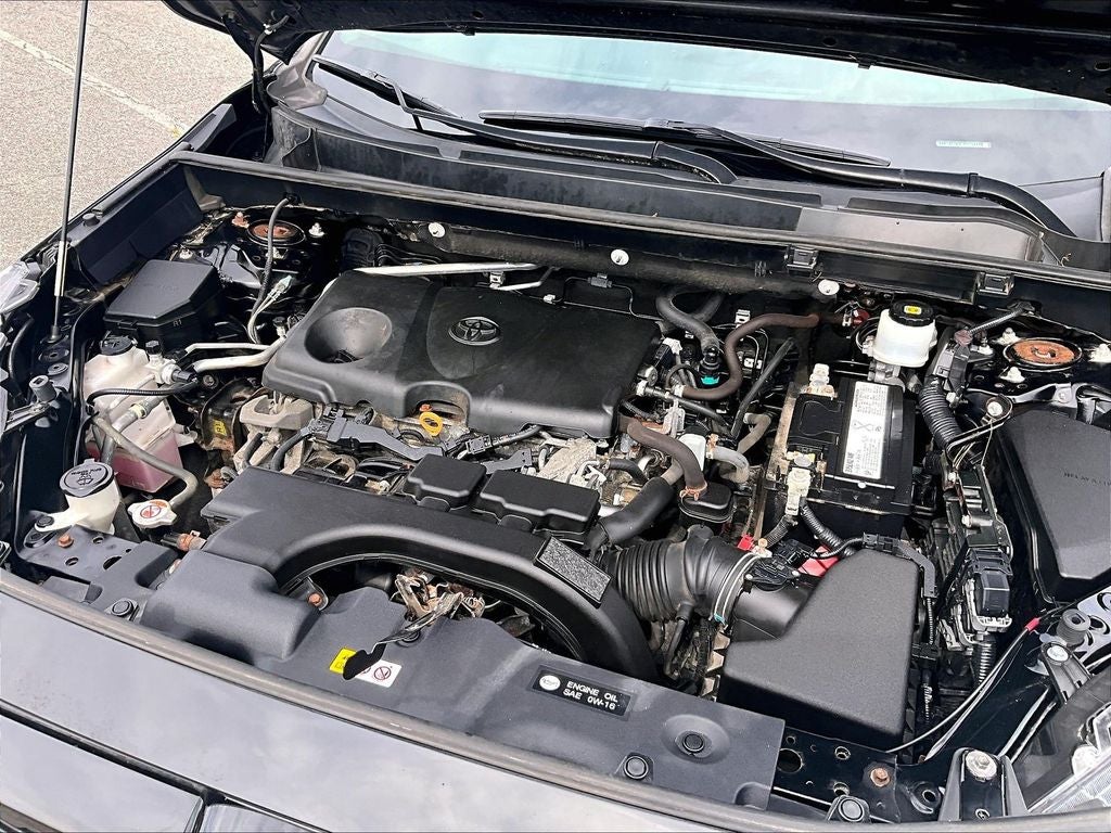 2019 Toyota RAV4 XLE