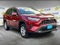 2025 Toyota RAV4 XLE AWD (Natl)
