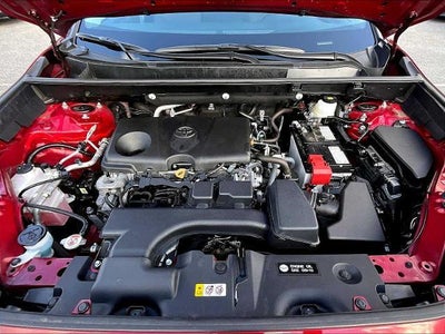 2025 Toyota RAV4 XLE AWD (Natl)
