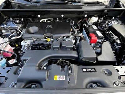 2025 Toyota RAV4 XLE AWD (Natl)