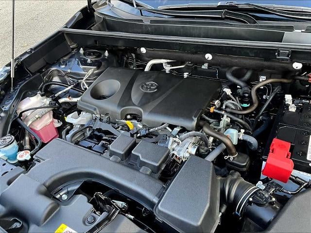 2025 Toyota RAV4 XLE AWD (Natl)