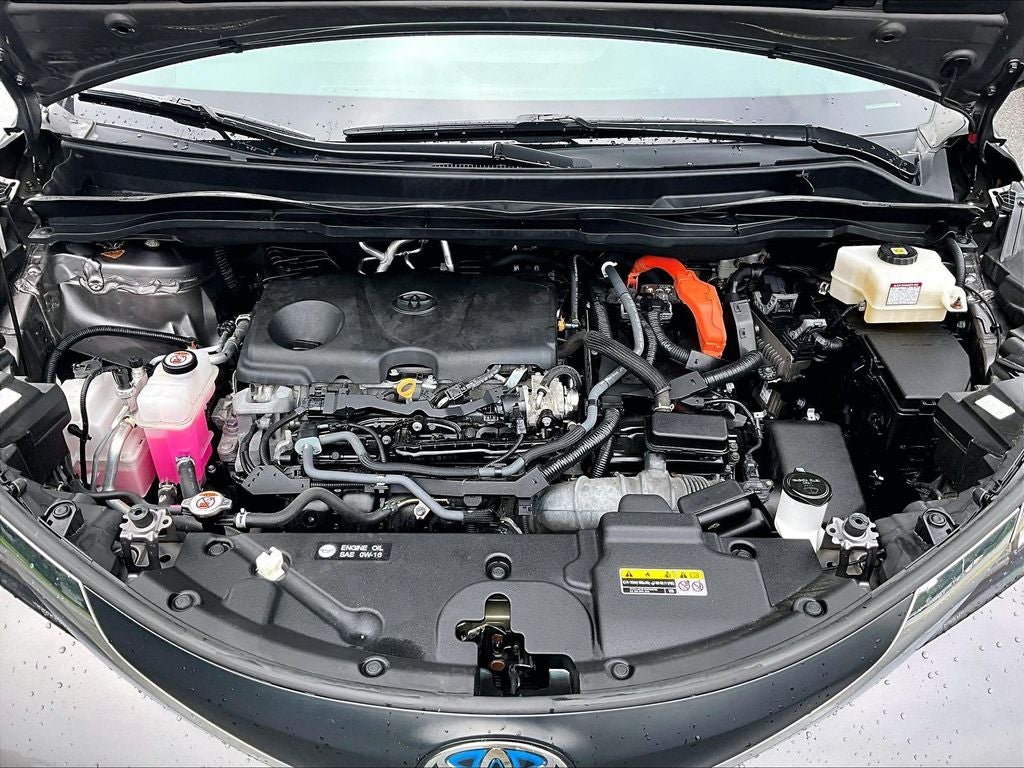 2023 Toyota Sienna XLE 7 Passenger
