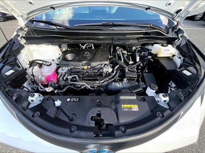 2024 Toyota Sienna LE FWD 8-Passenger (Natl)