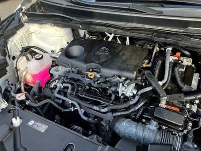 2024 Toyota Sienna LE FWD 8-Passenger (Natl)