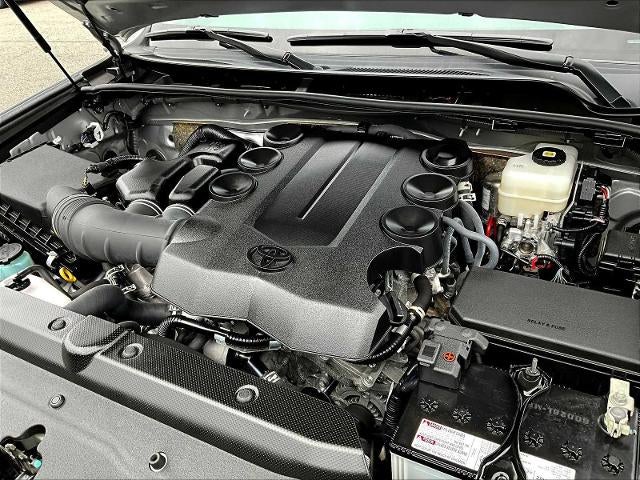 2024 Toyota 4Runner SR5 Premium 4WD (Natl)