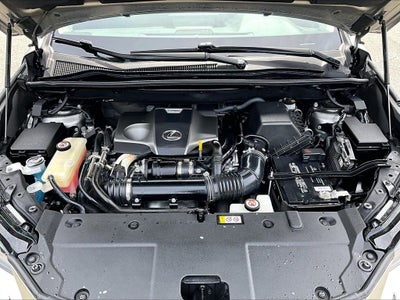 2020 Lexus NX 300 Base