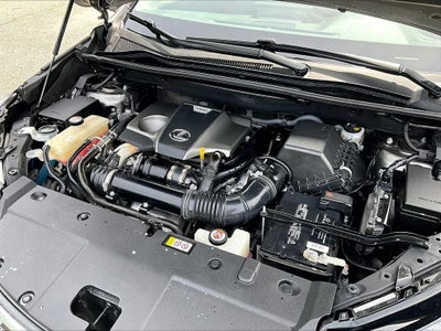 2020 Lexus NX 300 Base