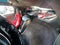 2025 Chevrolet Corvette Stingray 3LT