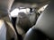 2021 Toyota Sienna XLE 7 Passenger