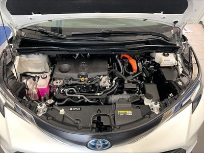 2021 Toyota Sienna XLE 7 Passenger