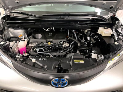 2025 Toyota Sienna XLE 8 Passenger