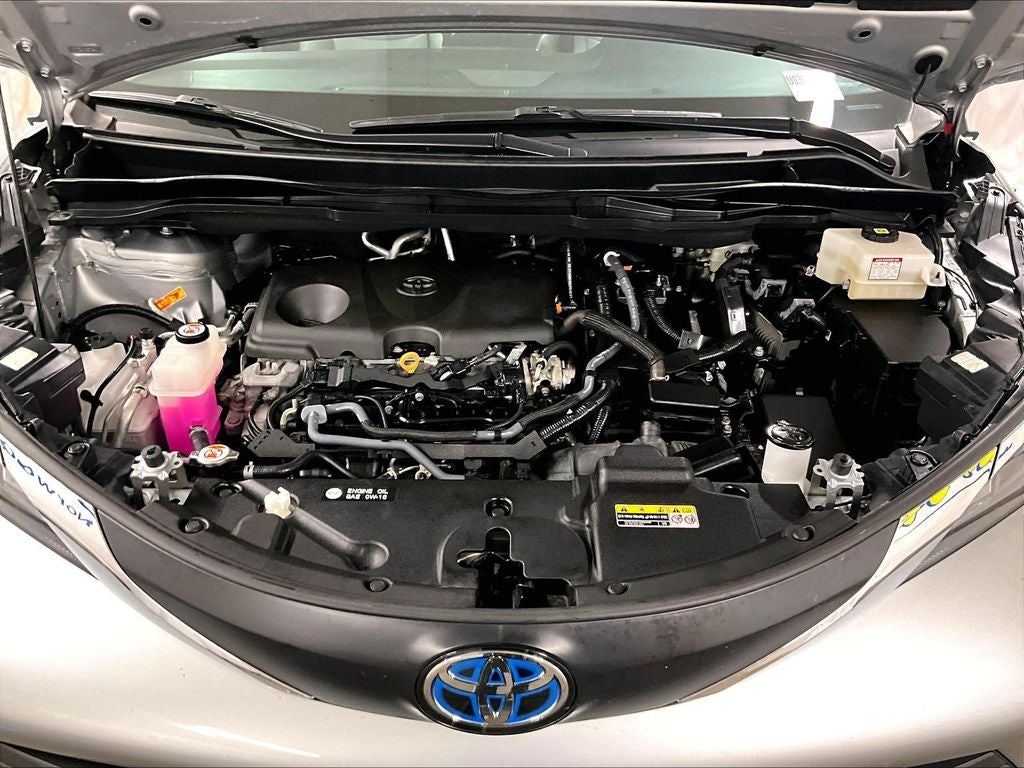 2025 Toyota Sienna XLE 8 Passenger
